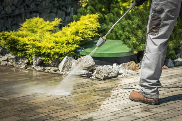 Animal Enclosure Cleaning in Rochester, MN